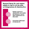 Benexol Spray B12 - Integratore alimentare a base di Vitamina B12 - 15 ml