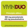 VivinDuo - Febbre e congestione nasale - 10 bustine