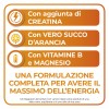 Sustenium Plus Intensive Formula - Integratore alimentare energizzante - 12 Bustine