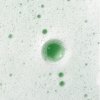 Caudalie Vinoclean Schiuma Detergente - Mousse struccante e purificante - 150 ml