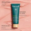 Caudalie Vinergetic Maschera Instant Detox - Maschera viso idratante e detossinante - 75 ml