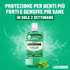 Listerine Difesa Denti e Gengive Collutorio - Ideale per l'igiene orale quotidiana - Gusto Menta fresca - 250 ml