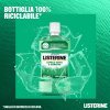 Listerine Difesa Denti e Gengive Collutorio - Ideale per l'igiene orale quotidiana - Gusto Menta fresca - 250 ml