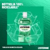 Listerine Difesa Denti e Gengive Collutorio - Ideale per l'igiene orale quotidiana - Gusto Menta fresca - 500 ml