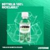 Listerine Difesa Denti e Gengive Collutorio - Ideale per l'igiene orale quotidiana - Gusto Menta fresca - 95 ml