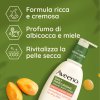 Aveeno Crema Corpo Idratante allo Yogurt - Crema idratante al profumo di miele ed albicocca - 300 ml