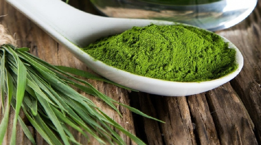 Alga spirulina: proprietà, fa dimagrire davvero?