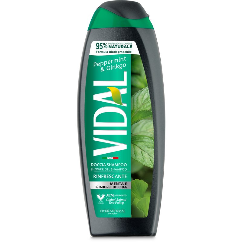 VIDAL NEW D/S MINT & GINKGO 250ML