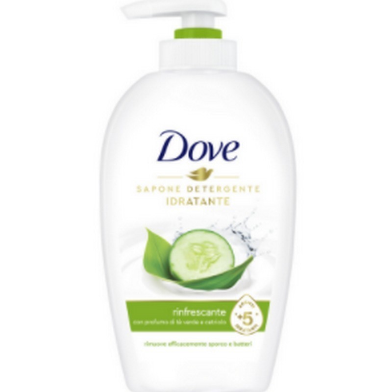 DOVE NEW SAP LIQ GO FRESH 250