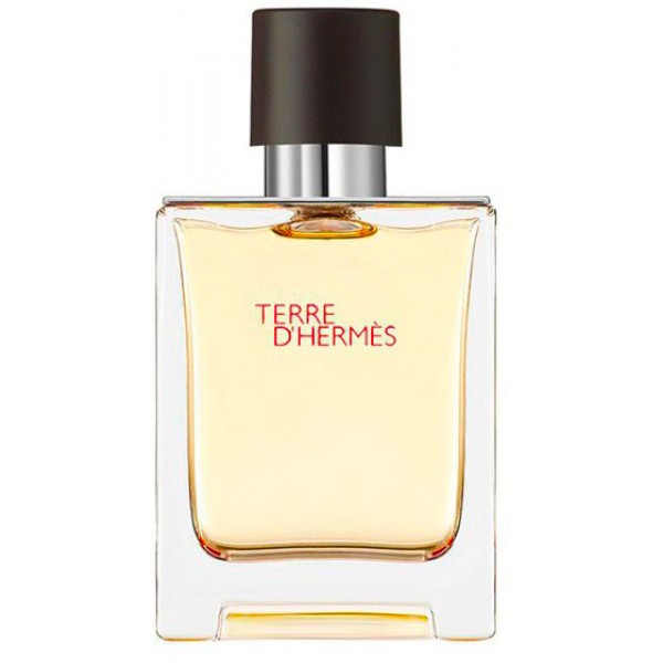 HERMES TERRE EDT 50 VAPO