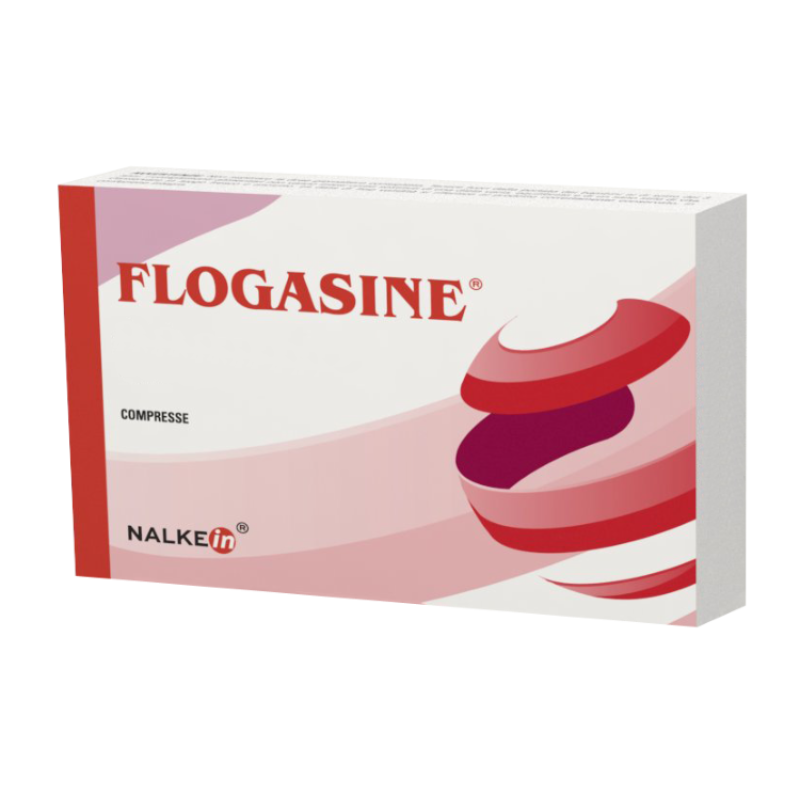 FLOGASINE 20 Compresse