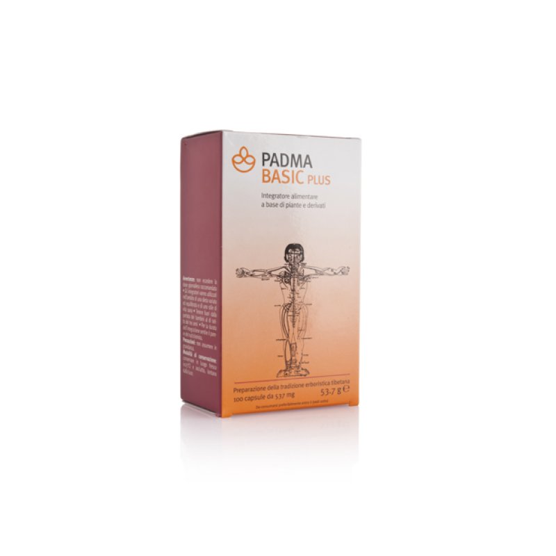 PADMA Basic Plus 100 Capsule