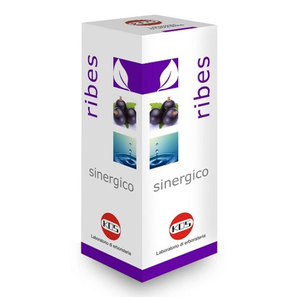 RIBES SINERGICO 100ml KOS