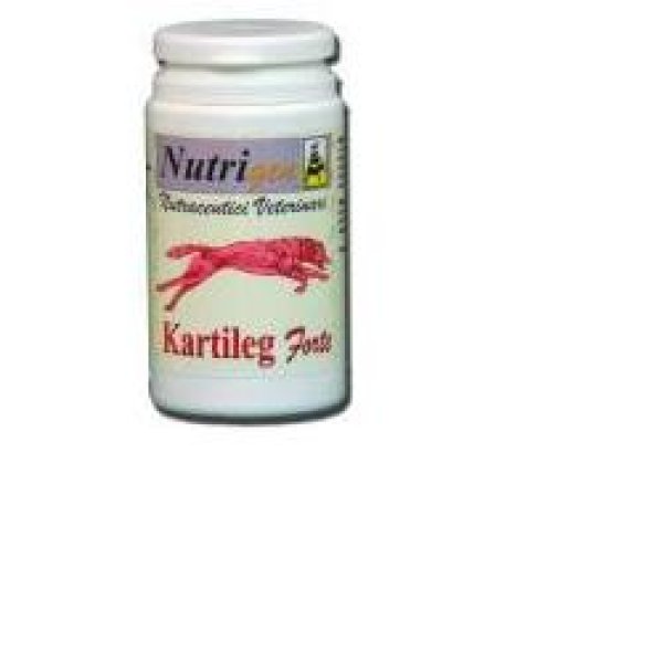 KARTILEG Forte 1g 60 Tav.