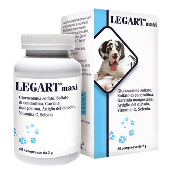 LEGART Maxi 60 Compresse 2g