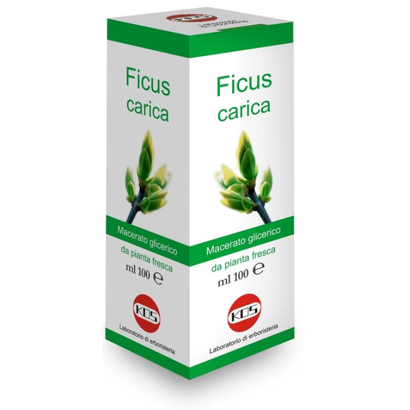 FICUS CARICA MG Gtt 100ml KOS