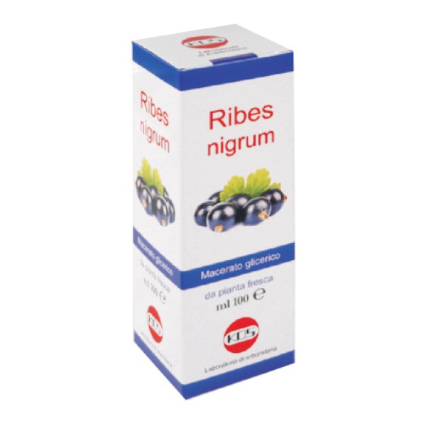 RIBES NIGRUM MG 100ml KOS