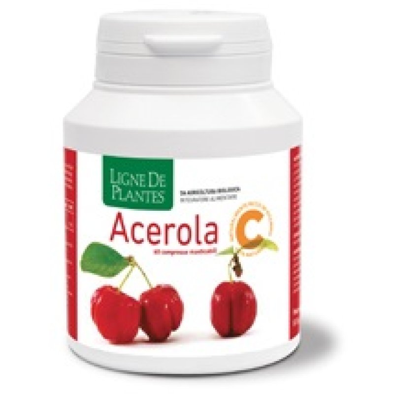 ACEROLA Bio 60 Capsule mast.N-S