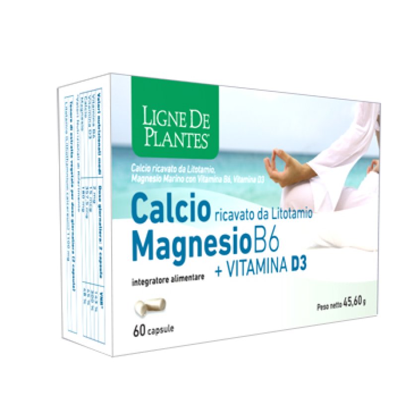 CALCIO/MG B6+Vit.D3 60 Capsule NSE