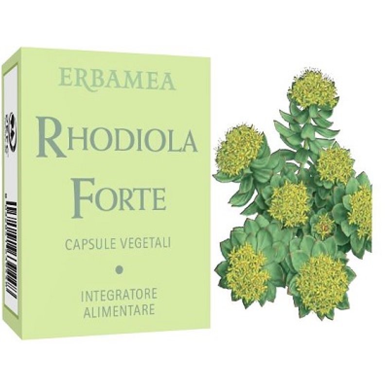 RHODIOLA Forte 24 Capsule EBM