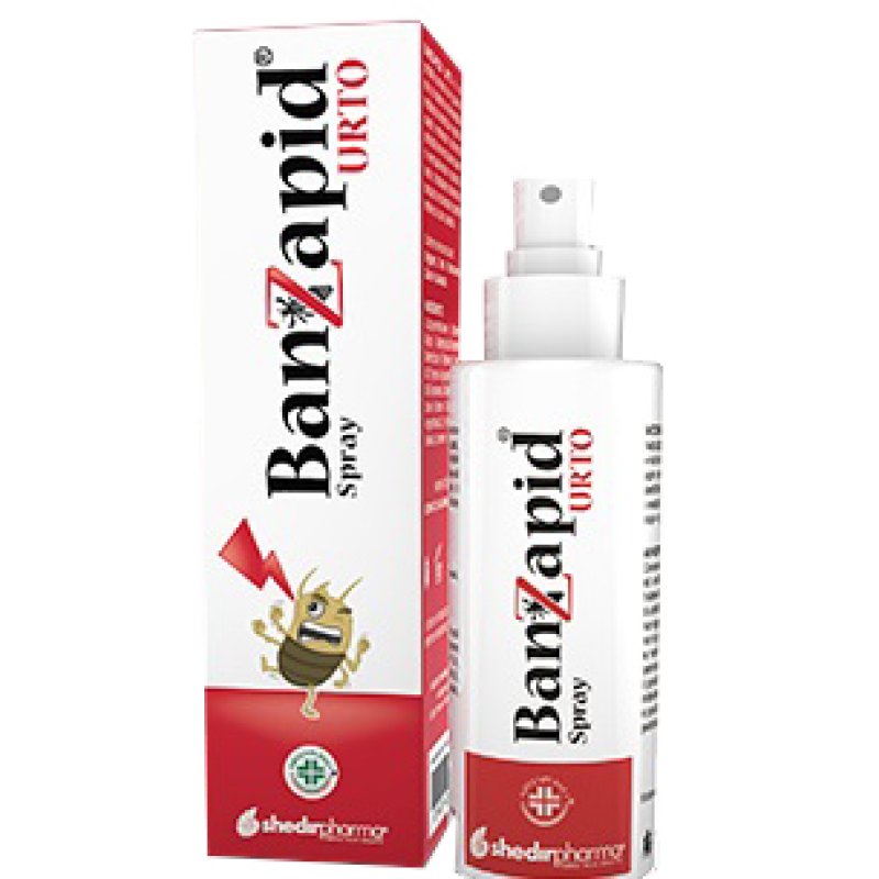 BANZAPID Spray Tratt.100ml