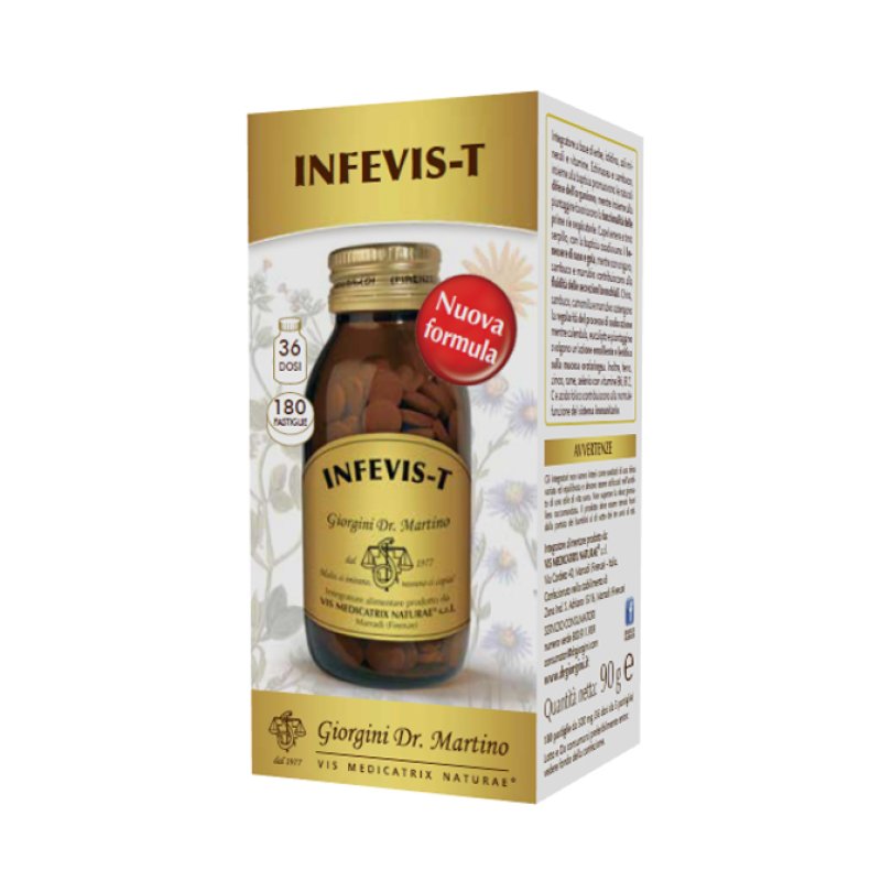 INFEVIS-T 180 Past.