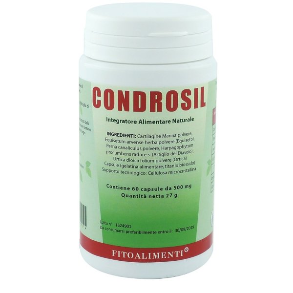 CONDROSIL 60 Capsule