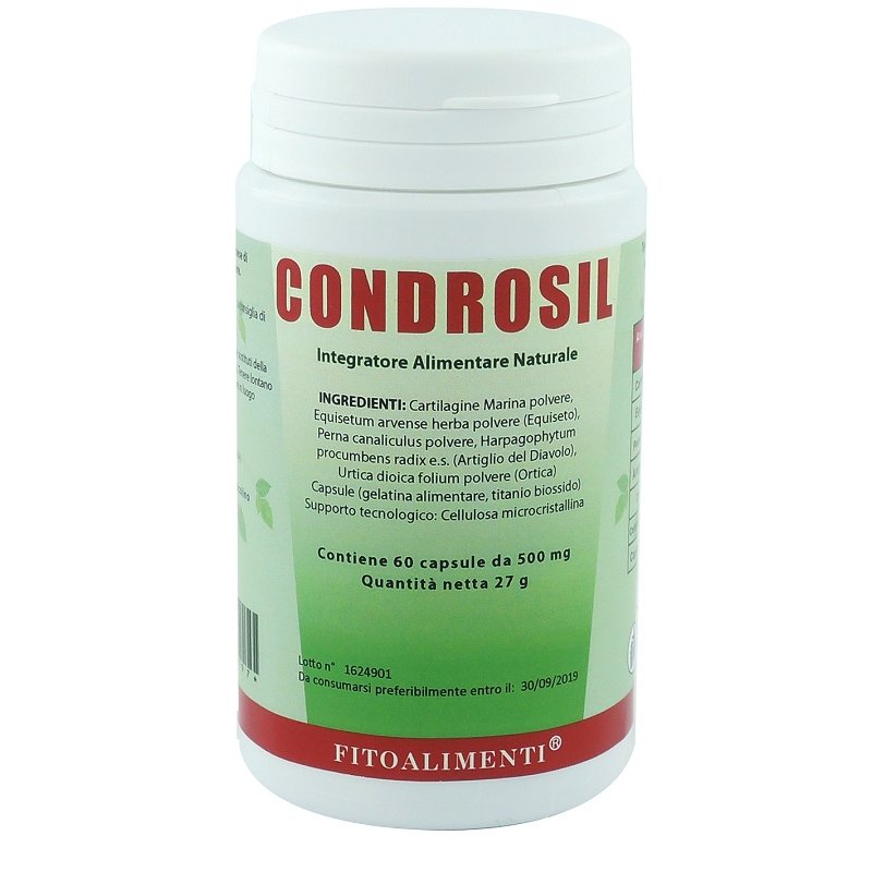 CONDROSIL 60 Capsule