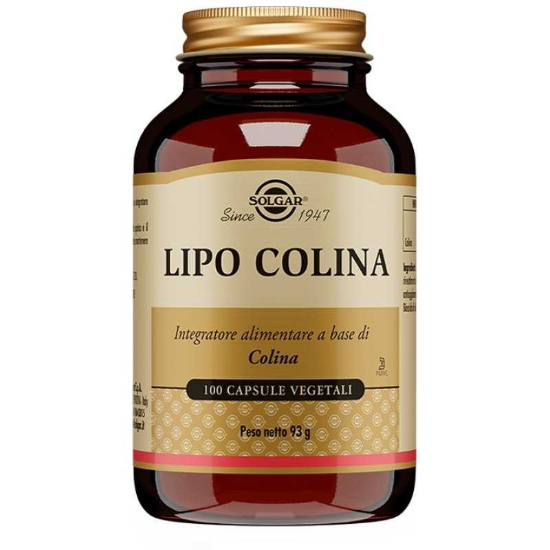 LIPO COLINA 100 Cps 100mgSOLGA