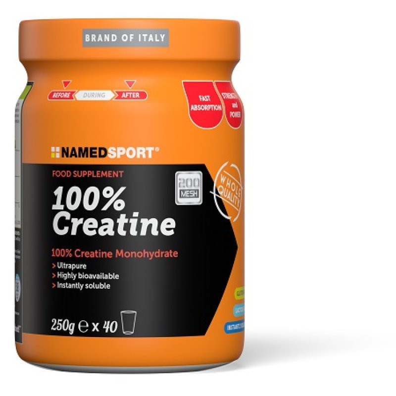 CREATINA 100% 250g NAMED