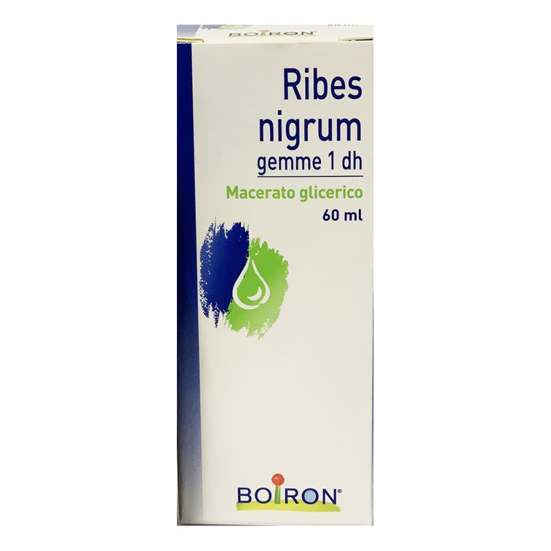 BO.RIBES NIGRUM 1DH MG  60ml