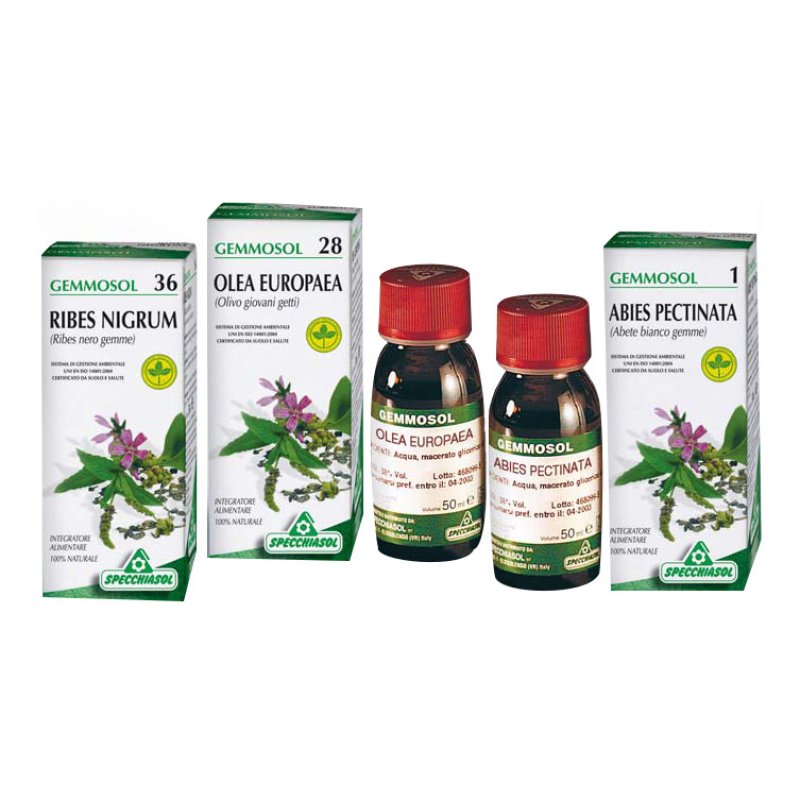 GEMMOSOL 36 Ribes Nero 100ml