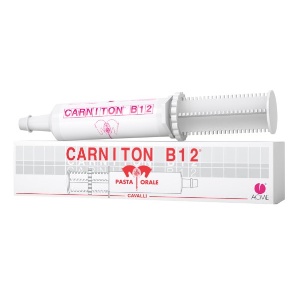 CARNITON B12 Pasta Sir.100g