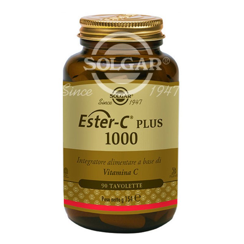 ESTER C PLUS 1000 90 Tav.SOLGA