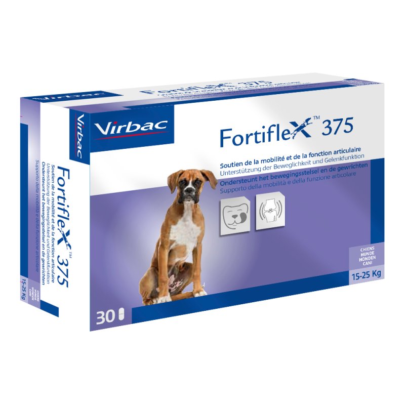 FORTIFLEX 375mg 30 Compresse