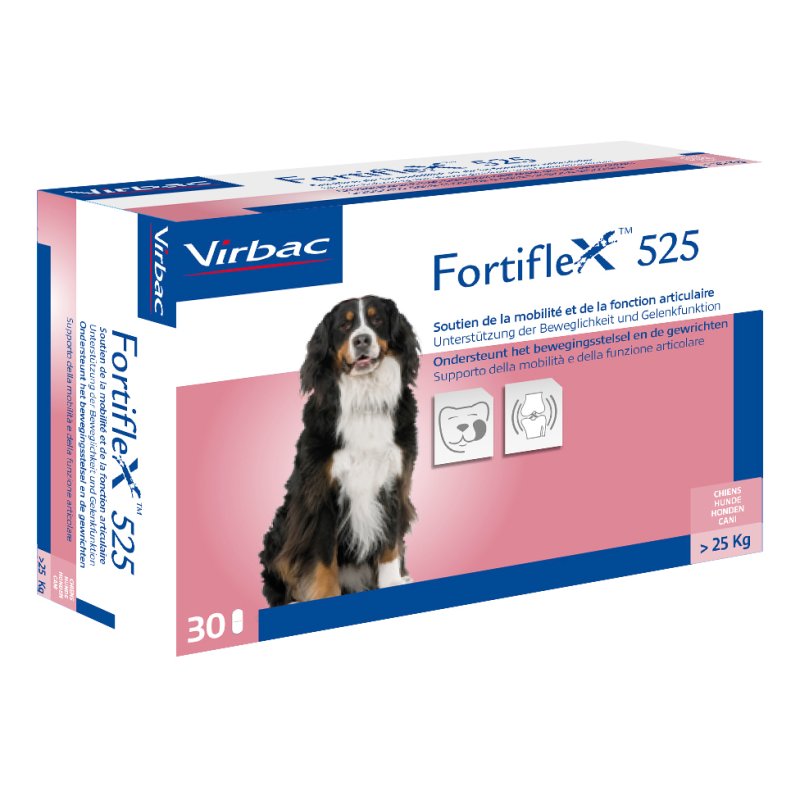 FORTIFLEX 525mg 30 Compresse