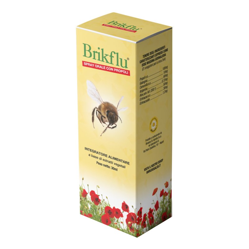 BRIKFLU Spray Nat.30ml