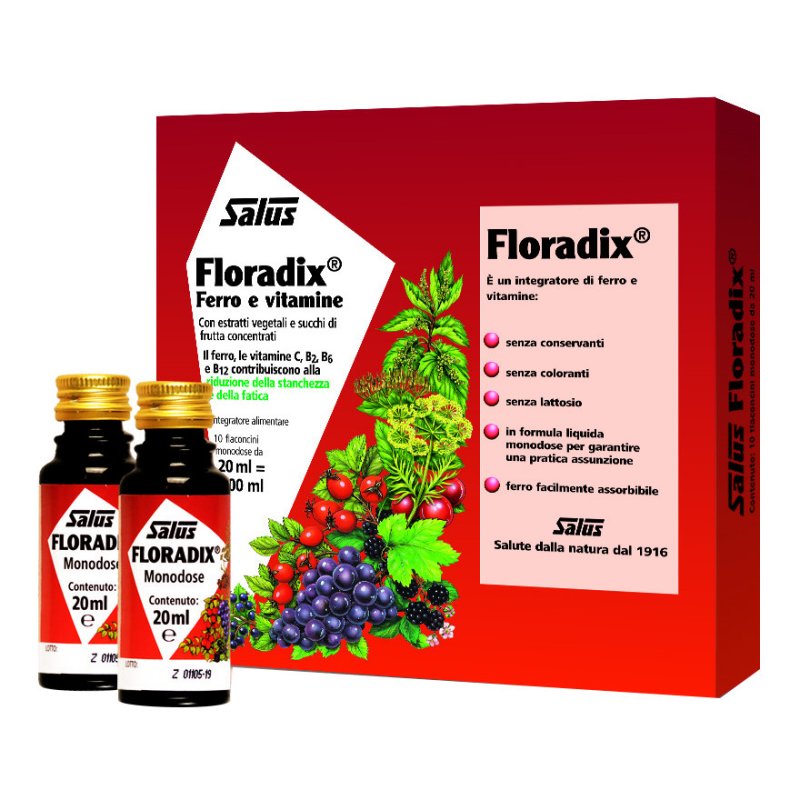 FLORADIX Ferro 10fl.20ml