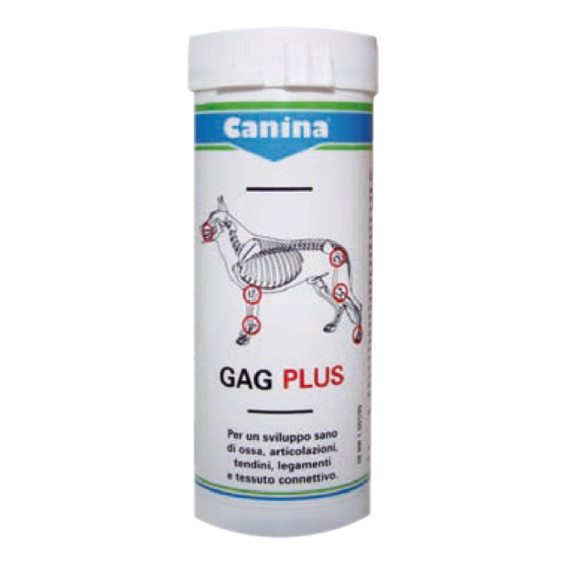 GAGPLUS 100 ca.60 Compresse