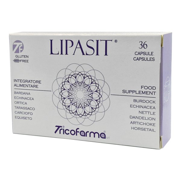 LIPASIT 500mg 36 Capsule