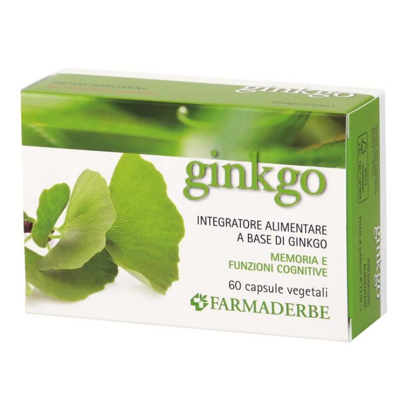 NUTRA Ginkgo Biloba 60 Capsule