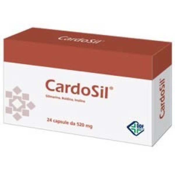 CARDOSIL 500mg 24 Capsule