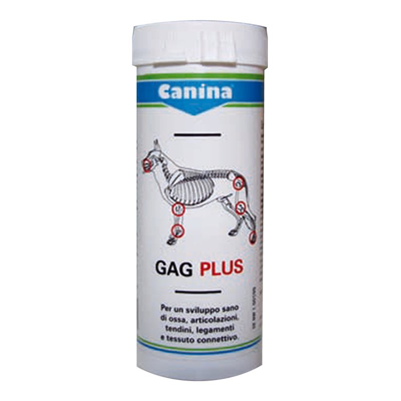 GAGPLUS 200g ca.120 Compresse