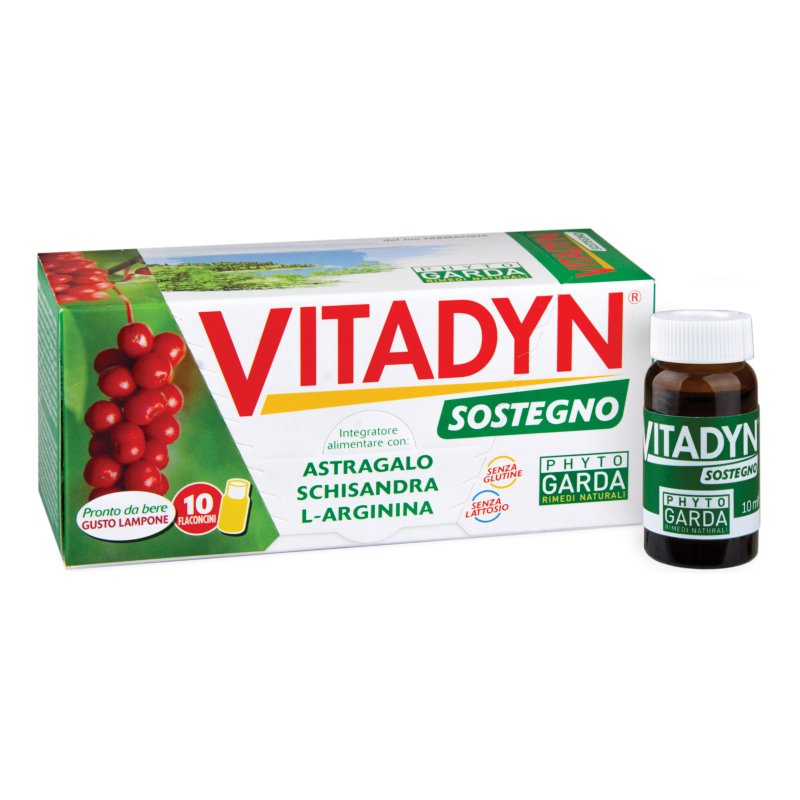 VITADYN Sostegno 10fl.10ml