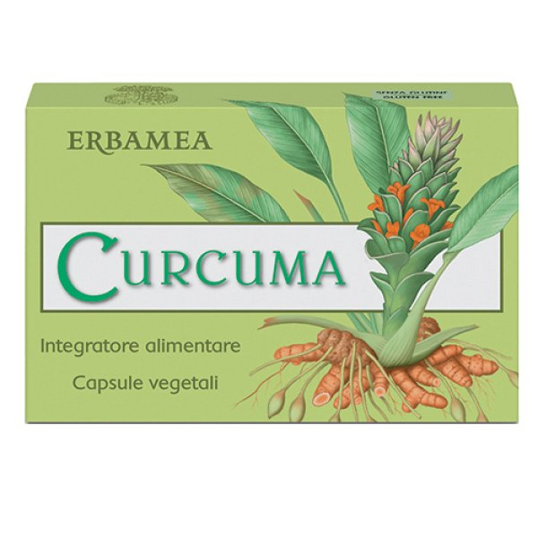 CURCUMA 24 Capsule Veg.EBM