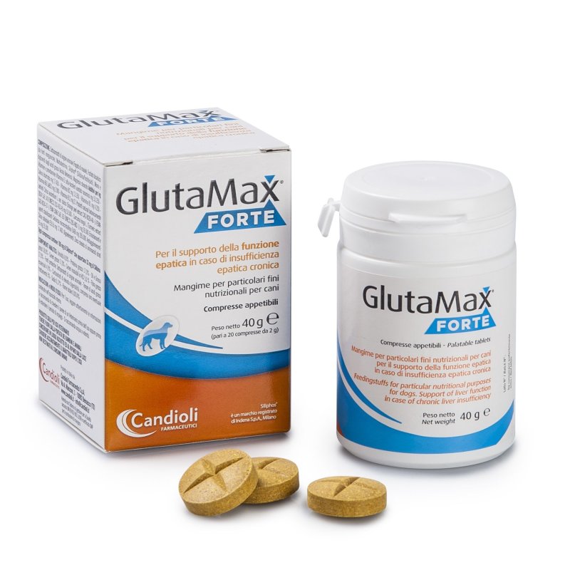 GLUTAMAX Forte 20 Compresse