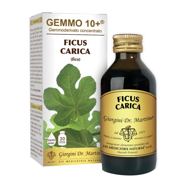 FICUS CARICA Gemmo 10+100ml