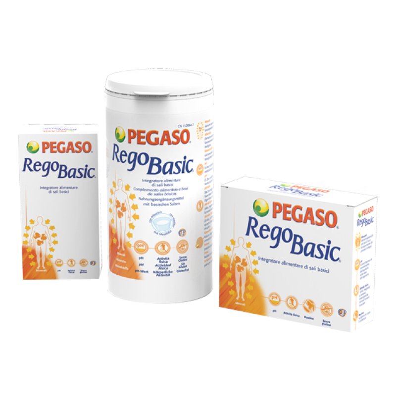 REGOBASIC 12 Bustine    PEGASO