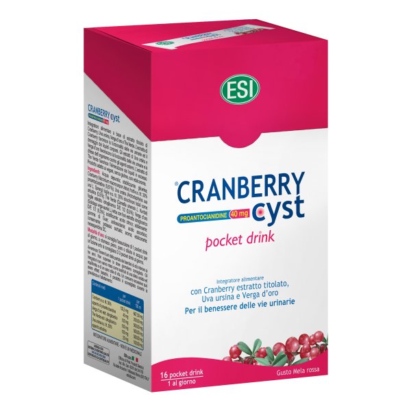 CRANBERRY CYST Pocket 16 Bust.