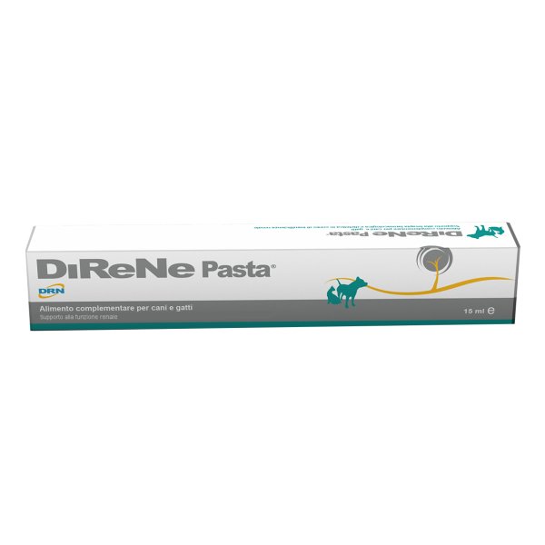 DIRENE Pasta 15ml